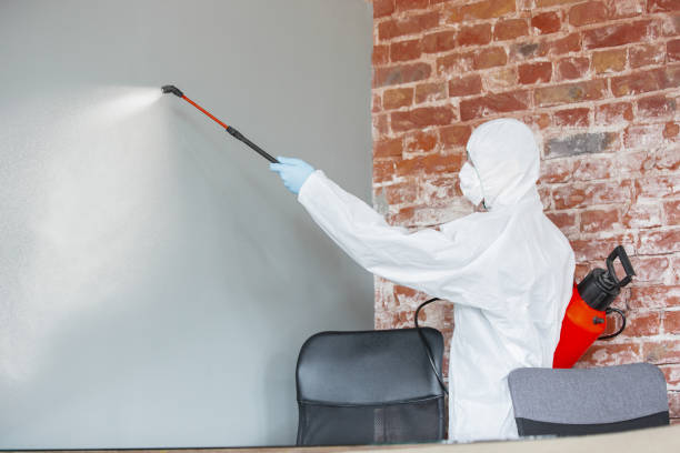 Best Asbestos and Lead Testing During Mold Inspection  in Merton, WI