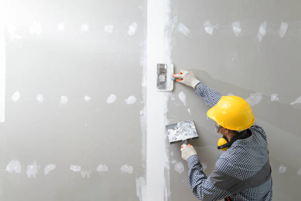 Best Crawl Space Mold Remediation  in Merton, WI