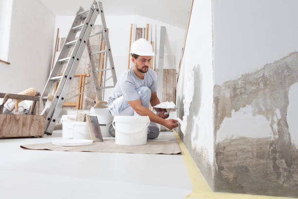  Merton, WI Mold Removal Pros