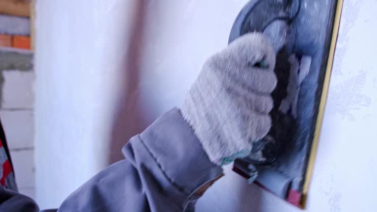 Best Mold Damage Restoration  in Merton, WI