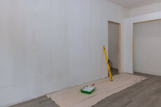 Best Post-Construction Mold Inspection  in Merton, WI