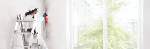 Best Environmental Consulting for Mold Prevention  in Merton, WI