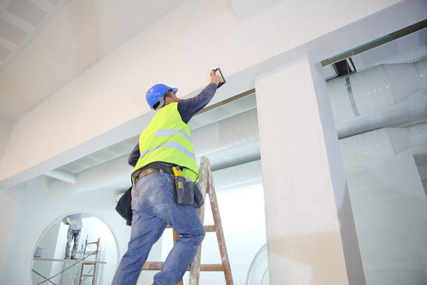 Best Post-Construction Mold Inspection  in Merton, WI