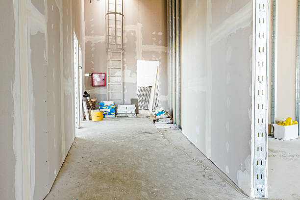Best Residential Mold Inspection & Testing  in Merton, WI